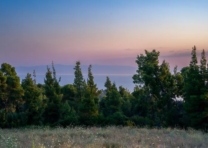 Mili Lyxtält Polikhronon