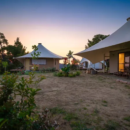 Mili * פוליכרונו