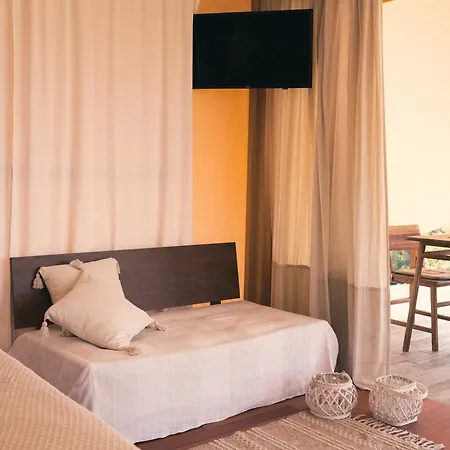 Mili * פוליכרונו