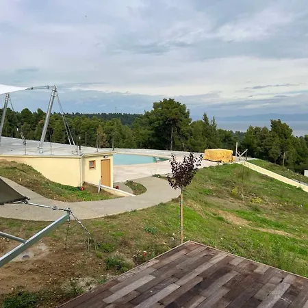 Mili * פוליכרונו