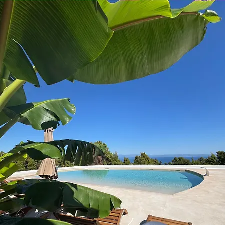 אוהל מפואר Mili