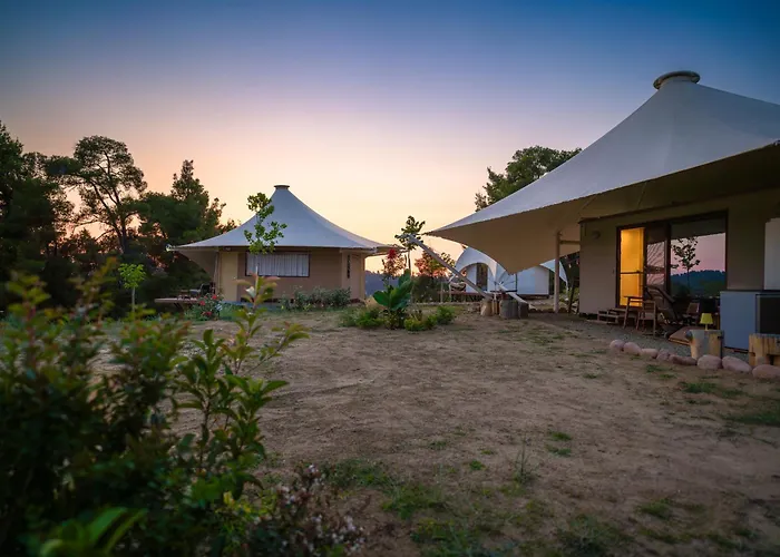 Mili * 波利克罗诺