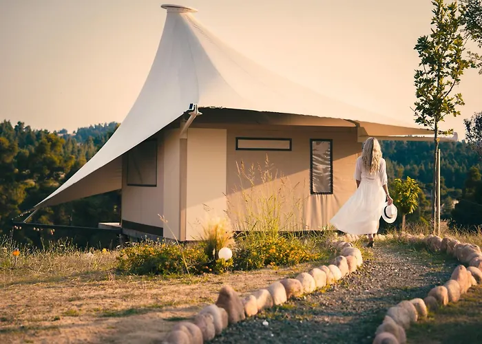 Mili 波利克罗诺